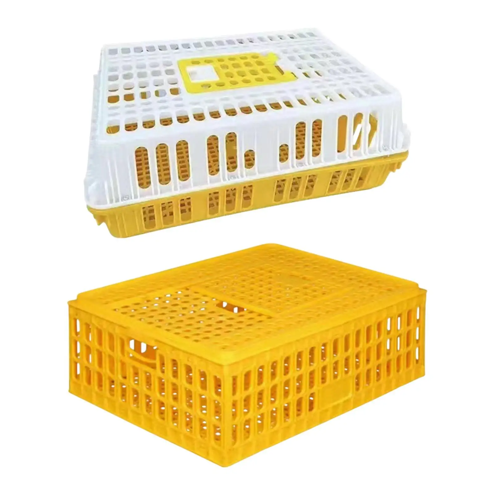 Poultry Carrier Crate Chicken Carrier Crate Sturdy for Chickens Hens Rabbits 
Poultry Carrier Crate Chicken Carrier Crate Sturdy for Chickens Hens Rabbits