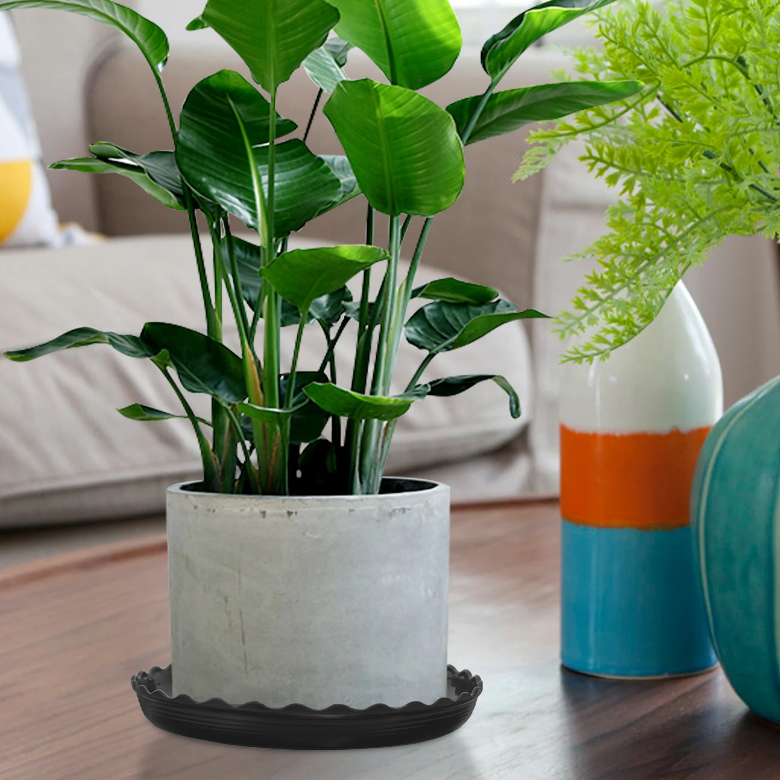 5pcs Plastic Plant Pot Saucer Round Drip Trays Flower Water Drainage Tray For Indoor Outdoor Durable No Soil Stains
5pcs Plastic Plant Pot Saucer Round Drip Trays Flower Water Drainage Tray For Indoor Outdoor Durable No Soil Stains