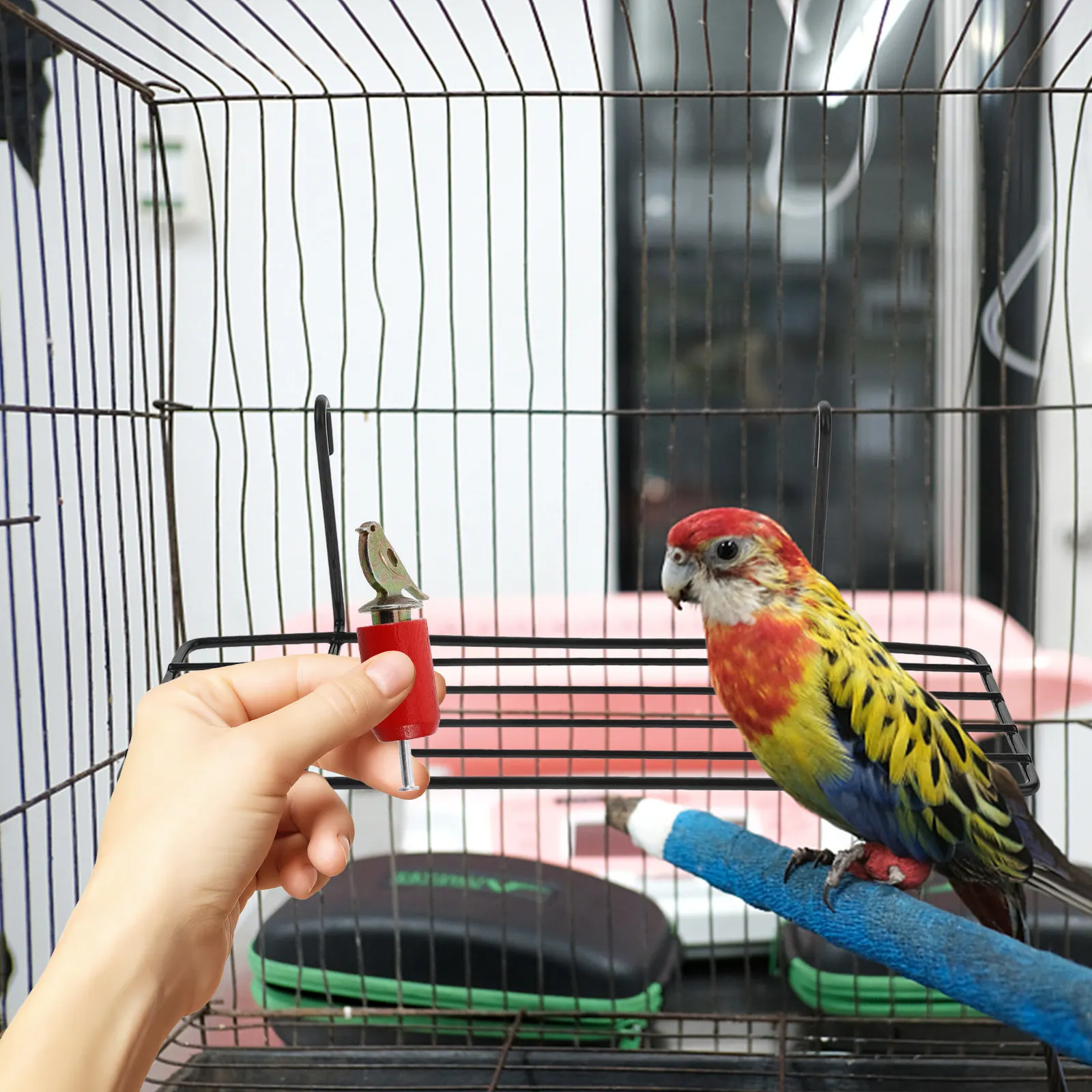Hand-Twisted Bird Call Whistle for Kids Outdoor Practice Portable Simulation Bird Caller for Watching Training
Hand-Twisted Bird Call Whistle for Kids Outdoor Practice Portable Simulation Bird Caller for Watching Training