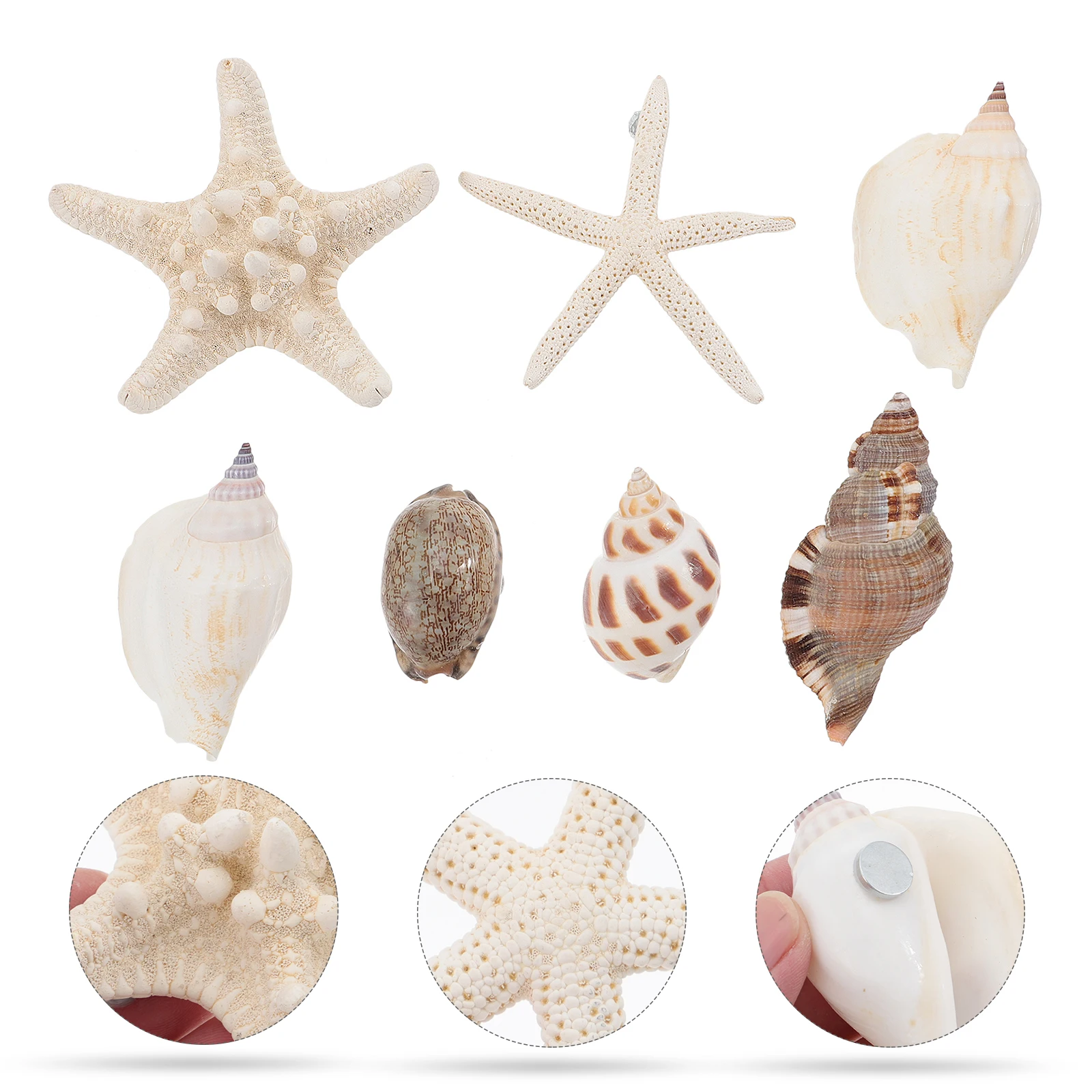7 PCS Shell Magnets Fridge Sticker Seashell Stickers Freezer Decal Refrigerator Patch Magnetic Whiteboard Natural Aldult NEW
7 PCS Shell Magnets Fridge Sticker Seashell Stickers Freezer Decal Refrigerator Patch Magnetic Whiteboard Natural Aldult NEW