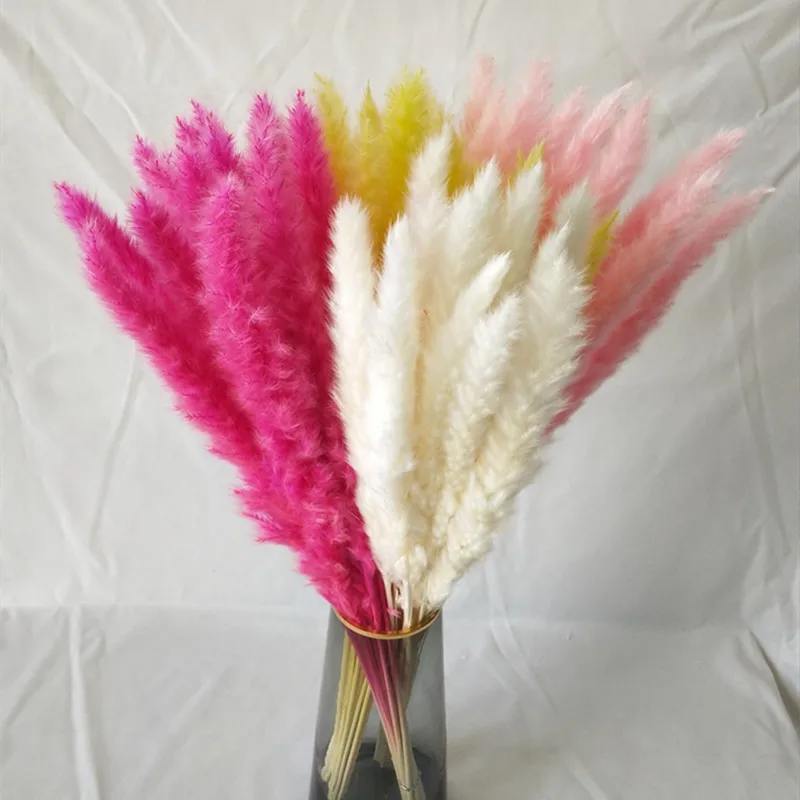 45cm Pampas Grass Dried Natural Flowers Decoration Pampas Wedding Party Accessories Boho Home Decor Flower Bouquet
45cm Pampas Grass Dried Natural Flowers Decoration Pampas Wedding Party Accessories Boho Home Decor Flower Bouquet