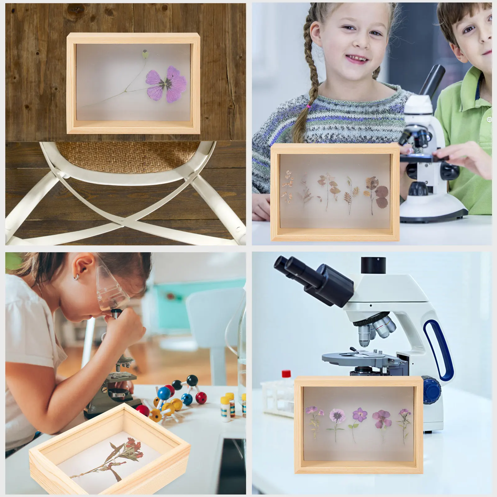 Wooden sample Box Experiment Equipment Display Storage Insect Plant Collection Case Durable Cage Education
Wooden sample Box Experiment Equipment Display Storage Insect Plant Collection Case Durable Cage Education