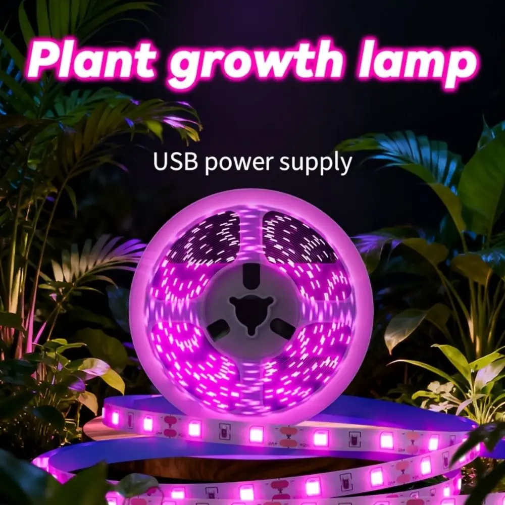 Multi Functional LED Ambient Plant Growth Light Safe Touch Lighting 5 V Low-voltage Plant Growth Light USB Power Supply
Multi Functional LED Ambient Plant Growth Light Safe Touch Lighting 5 V Low-voltage Plant Growth Light USB Power Supply