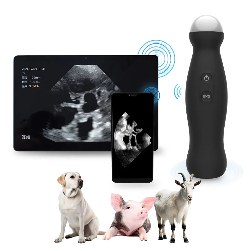 Competitive Price Animal Ultrasound Machine Best Goat Ultrasound Pig Ultrasound Machine for Sale
Competitive Price Animal Ultrasound Machine Best Goat Ultrasound Pig Ultrasound Machine for Sale
