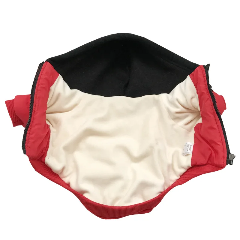 Trendy Brand Dog and Kitten Letter Printed Cotton Jacket Pet Clothing Cat Teddy Jacket Small Dog Autumn and Winter Clothing
Trendy Brand Dog and Kitten Letter Printed Cotton Jacket Pet Clothing Cat Teddy Jacket Small Dog Autumn and Winter Clothing