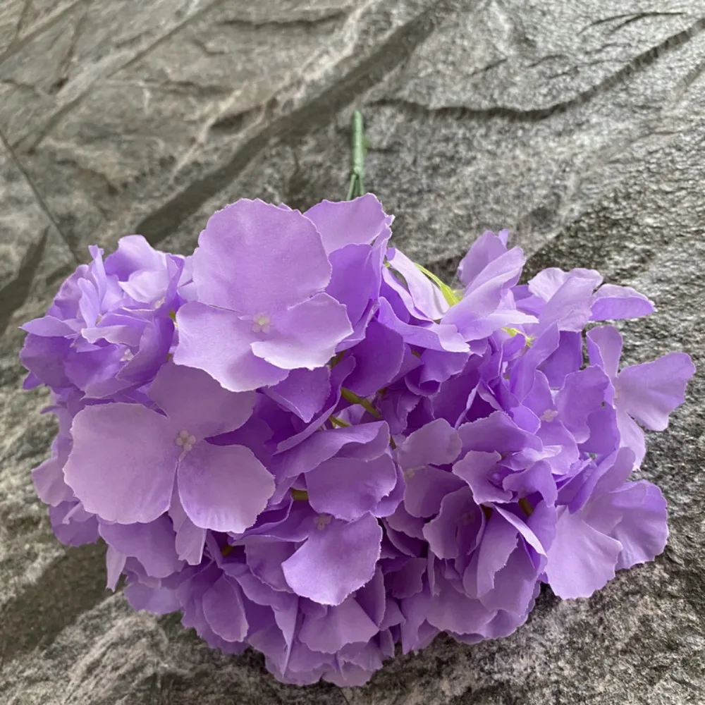 Leafless Design Hydrangea Flower Woolen Cloth Five Headed Simulation Flower French Style 45CM Size Five Headed Hydrangea
Leafless Design Hydrangea Flower Woolen Cloth Five Headed Simulation Flower French Style 45CM Size Five Headed Hydrangea