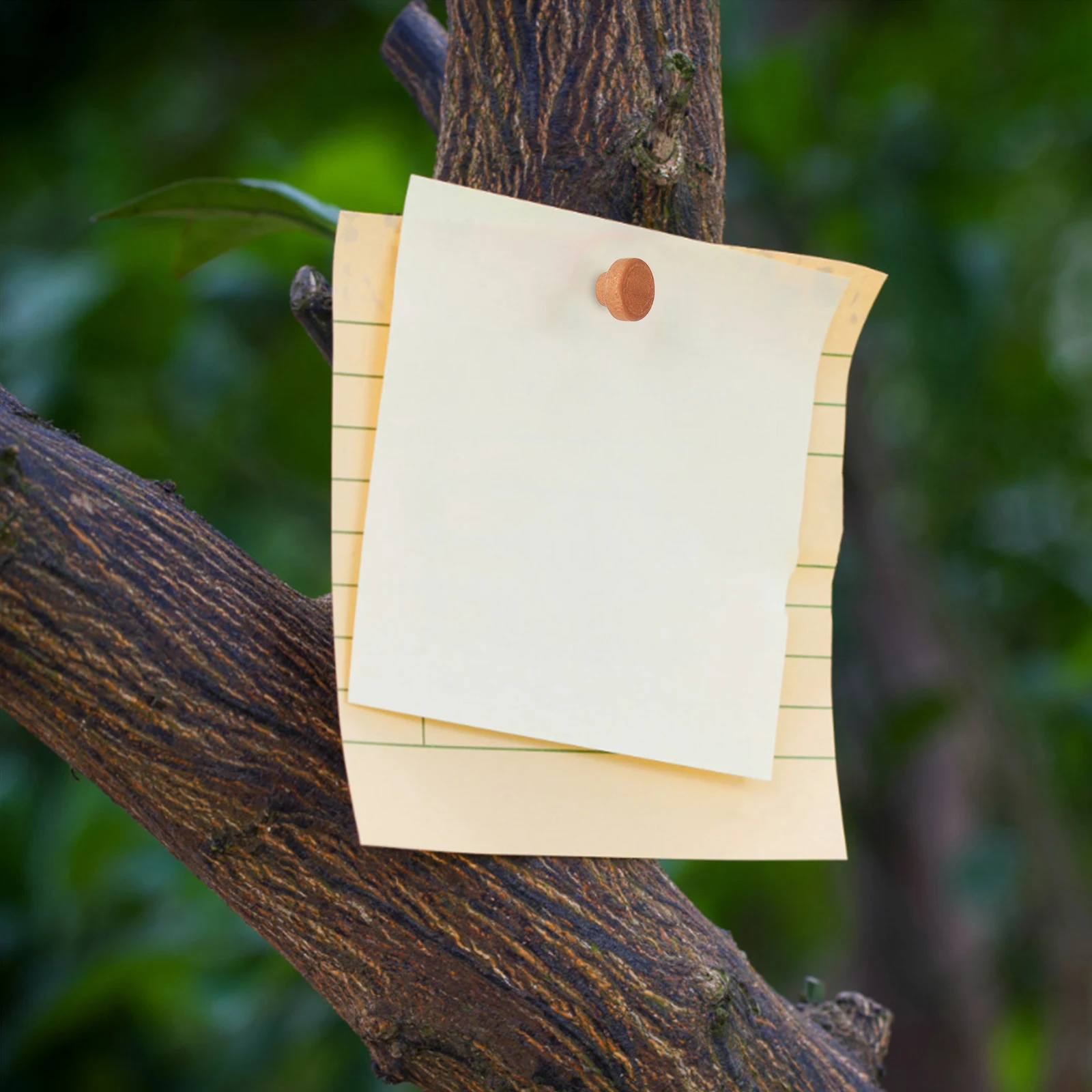 50Pcs Wooden Round Push Pins Sturdy Thumbtacks for Cork Board Photo Wall Bulletin Office Supplies Push Board Pin
50Pcs Wooden Round Push Pins Sturdy Thumbtacks for Cork Board Photo Wall Bulletin Office Supplies Push Board Pin