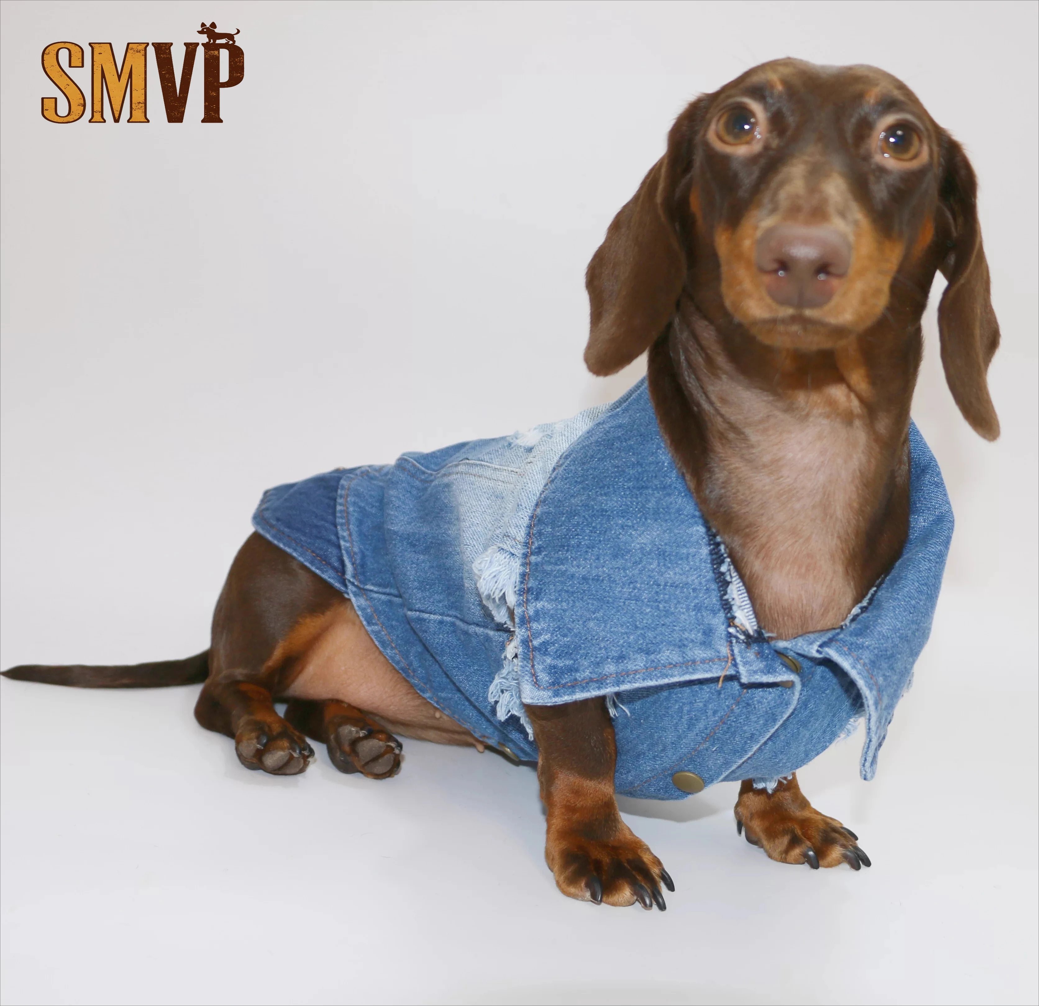 Spring and Summer Thin Breathable Old Fashioned Denim Button Vest Charming Style Kitten Small and Medium Sized Dog Clothes
Spring and Summer Thin Breathable Old Fashioned Denim Button Vest Charming Style Kitten Small and Medium Sized Dog Clothes