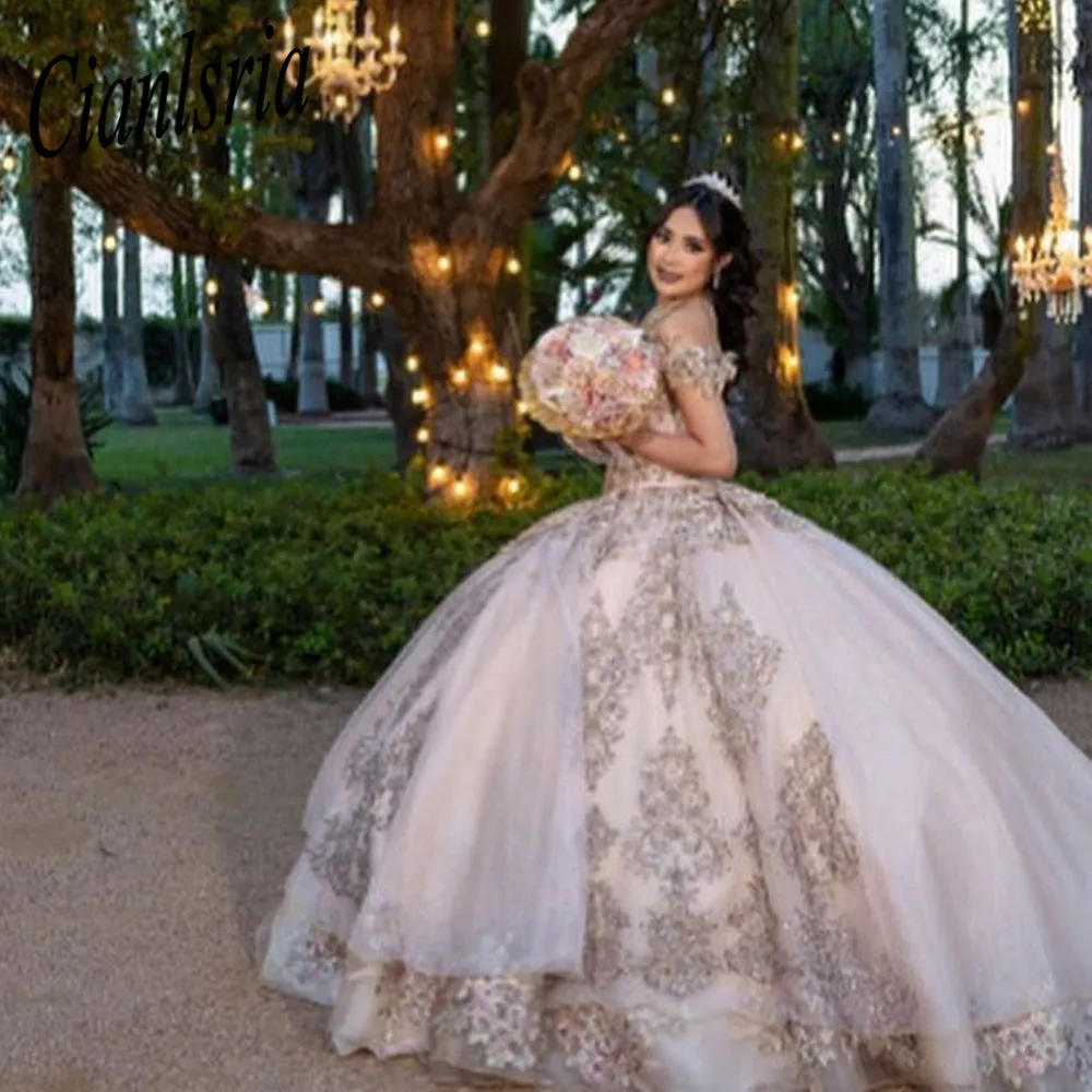 Роскошные платья Quinceanera 2025 года, бальное платье принцессы с открытыми плечами и 3D цветами, пышные платья Sweetie 16 для девочек
Роскошные платья Quinceanera 2025 года, бальное платье принцессы с открытыми плечами и 3D цветами, пышные платья Sweetie 16 для девочек
