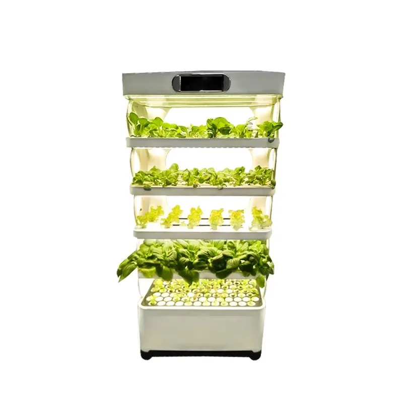 Vertical Hydroponic Growing Systems Growing Vegetable Automatic Planter
Vertical Hydroponic Growing Systems Growing Vegetable Automatic Planter