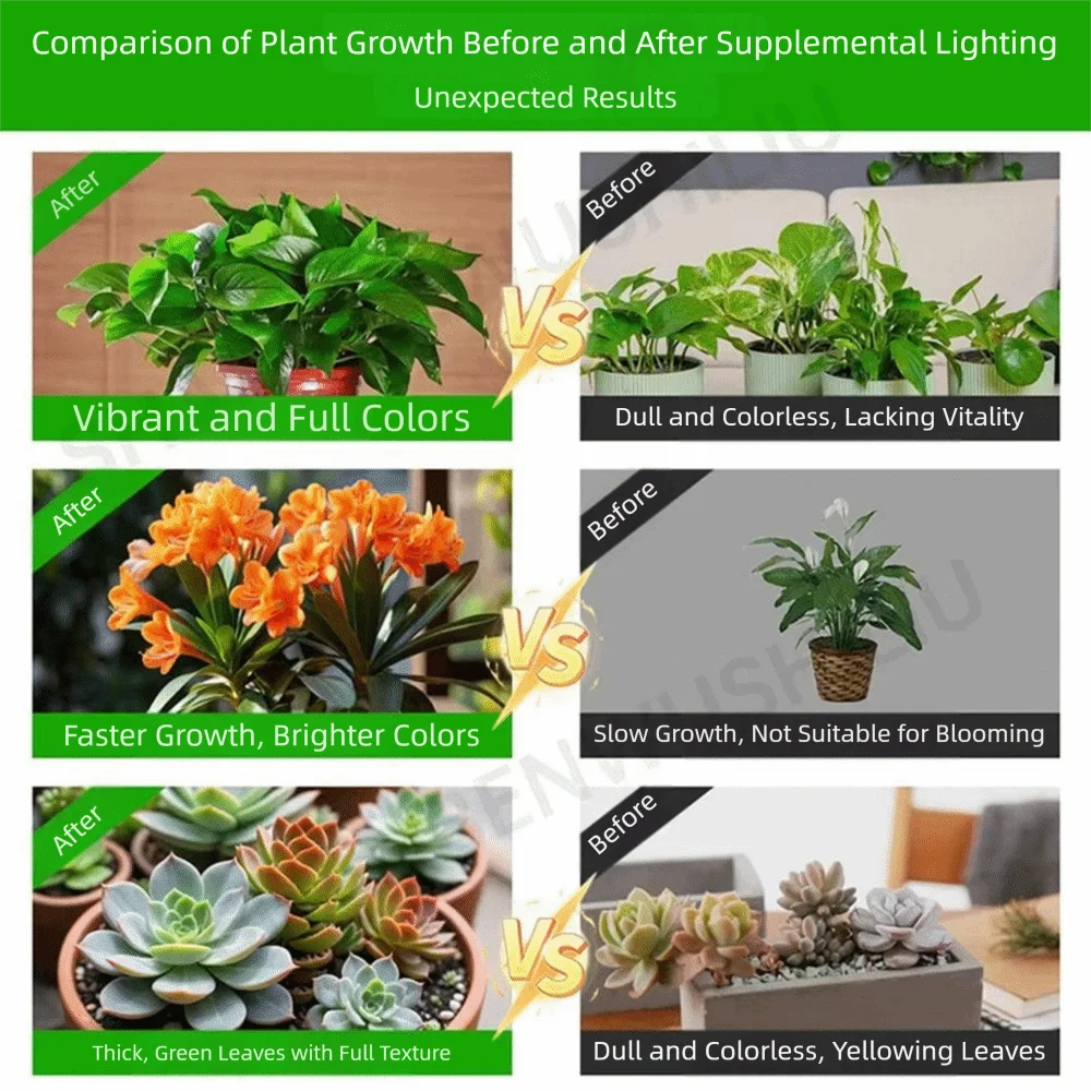 Height Adjustable LED Plant Growth Light 45/65/80cm Clip on Sun Spot Light Retractable Creative Plant Growth Lamp Flowers
Height Adjustable LED Plant Growth Light 45/65/80cm Clip on Sun Spot Light Retractable Creative Plant Growth Lamp Flowers