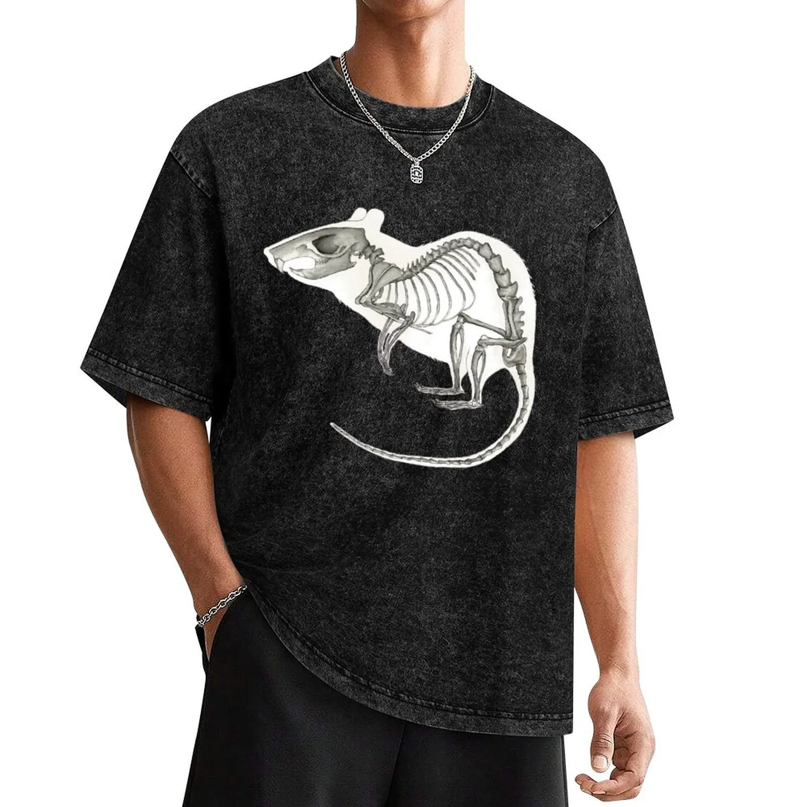 Rat Skeleton: Animal Anatomy T-Shirt vintage sports fans summer tops anime tshirt men graphic t shirts
Rat Skeleton: Animal Anatomy T-Shirt vintage sports fans summer tops anime tshirt men graphic t shirts