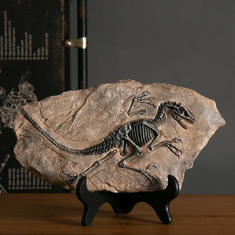 Resin Dinosaur Fossil Statue Decorative Figurines Animal Sculpture Interior Home Office Desktop Display Bookshelf Decoration
Resin Dinosaur Fossil Statue Decorative Figurines Animal Sculpture Interior Home Office Desktop Display Bookshelf Decoration