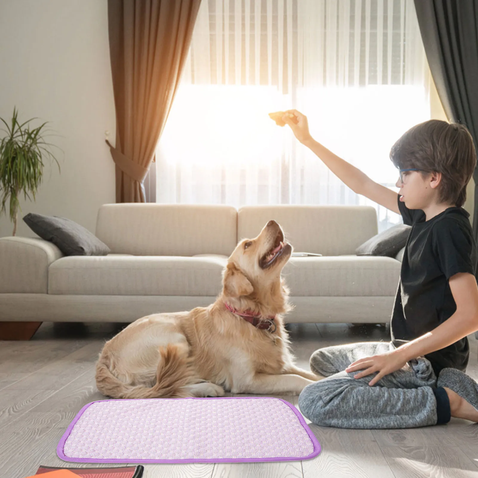 Pet Cooling Shallow Purple XS Size Ice Silk Pad for Dog Cat Summer Rabbit Cooling Pad Summer Hamster Bed Nest Supplies Cloth
Pet Cooling Shallow Purple XS Size Ice Silk Pad for Dog Cat Summer Rabbit Cooling Pad Summer Hamster Bed Nest Supplies Cloth