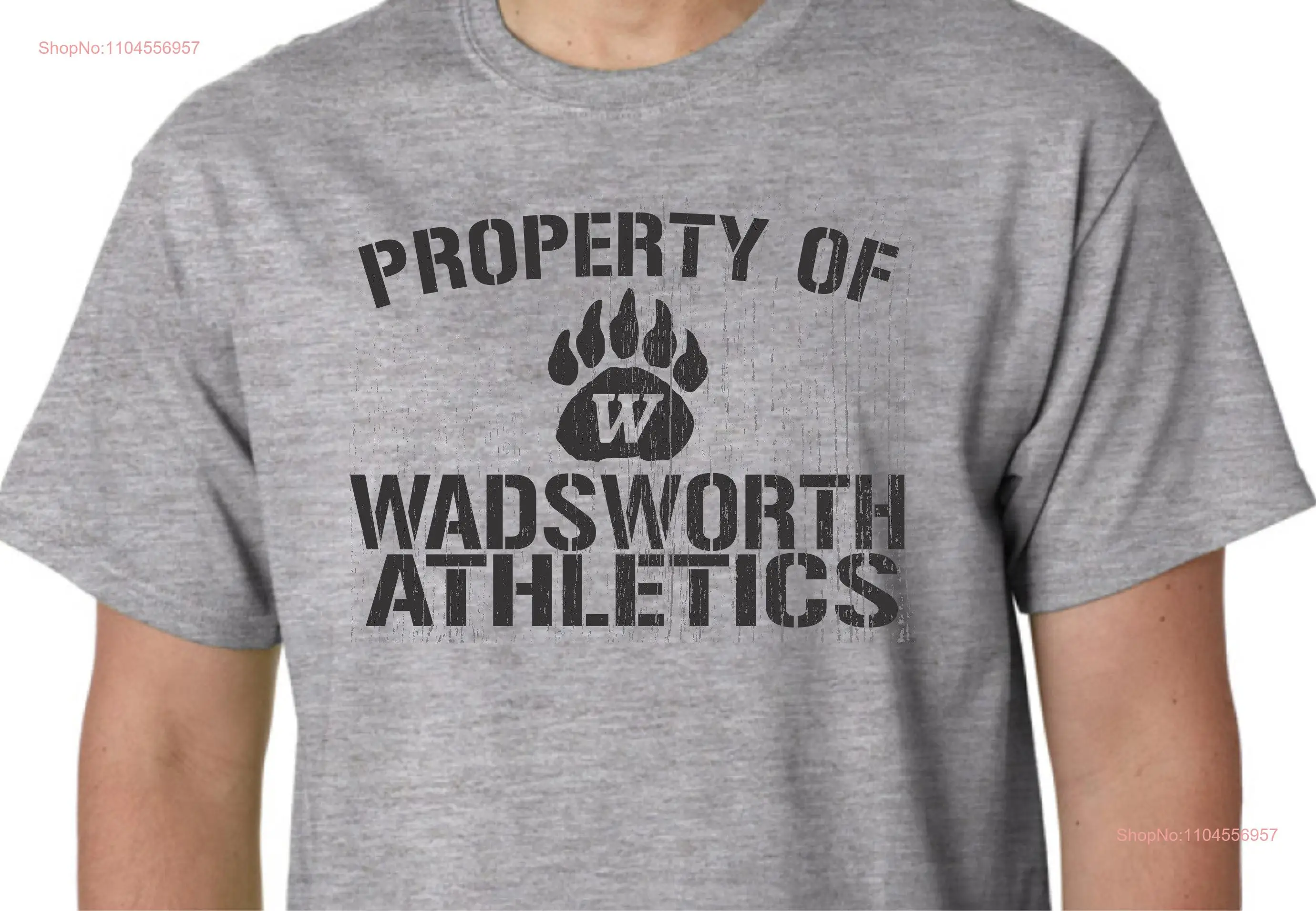 Property of Wadsworth Athletics Ohio High School Spiritwear T Shirt Fan long or short sleeves
Property of Wadsworth Athletics Ohio High School Spiritwear T Shirt Fan long or short sleeves