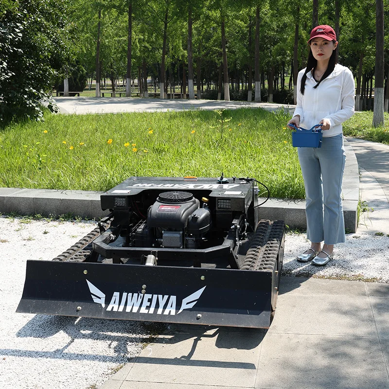 Customized Orchard Dedicated Remote Mower for Wild Grass Shredding on Walnut Orchard Slope Rows lawn mower
Customized Orchard Dedicated Remote Mower for Wild Grass Shredding on Walnut Orchard Slope Rows lawn mower