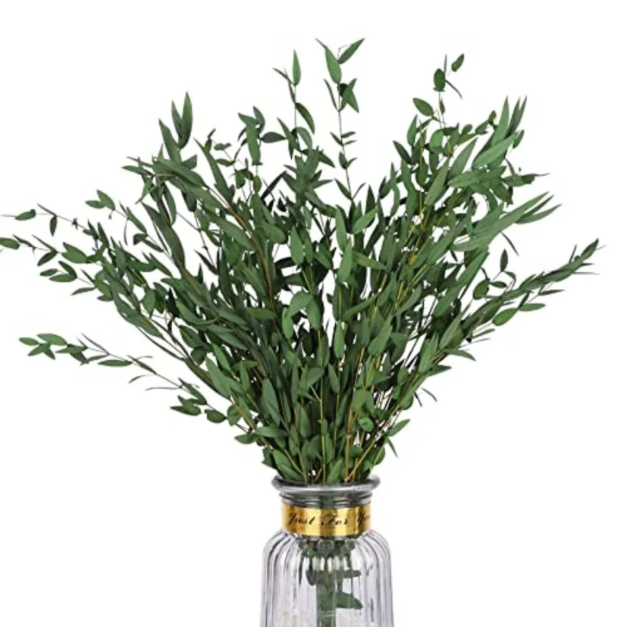 Real ery Decor 17" Dried Willow Plant Preserved ery for Home Vase Filler Wedding Flowers Arrangement Spring Mother's Day Decora
Real ery Decor 17" Dried Willow Plant Preserved ery for Home Vase Filler Wedding Flowers Arrangement Spring Mother's Day Decora