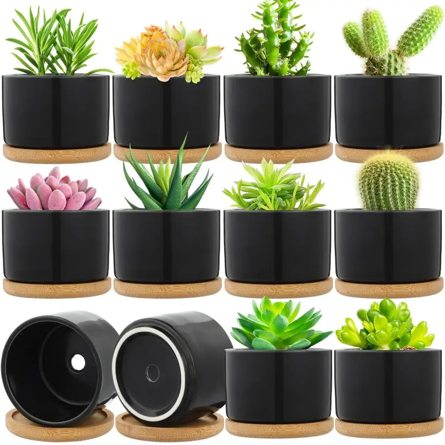 12 Sets Succulent Plant Pot Ceramic Succulent Pots Container Cactus Pots with Bamboo Tray Small Cylinder Flower Plant Pot with B
12 Sets Succulent Plant Pot Ceramic Succulent Pots Container Cactus Pots with Bamboo Tray Small Cylinder Flower Plant Pot with B