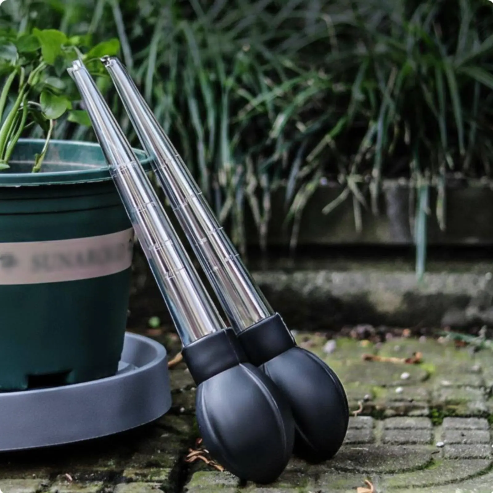 Plant Tray Water Remover Portable Manual Water Suction Tool Bulb Baster Easy to Use for Aquatic Habitat Owners
Plant Tray Water Remover Portable Manual Water Suction Tool Bulb Baster Easy to Use for Aquatic Habitat Owners