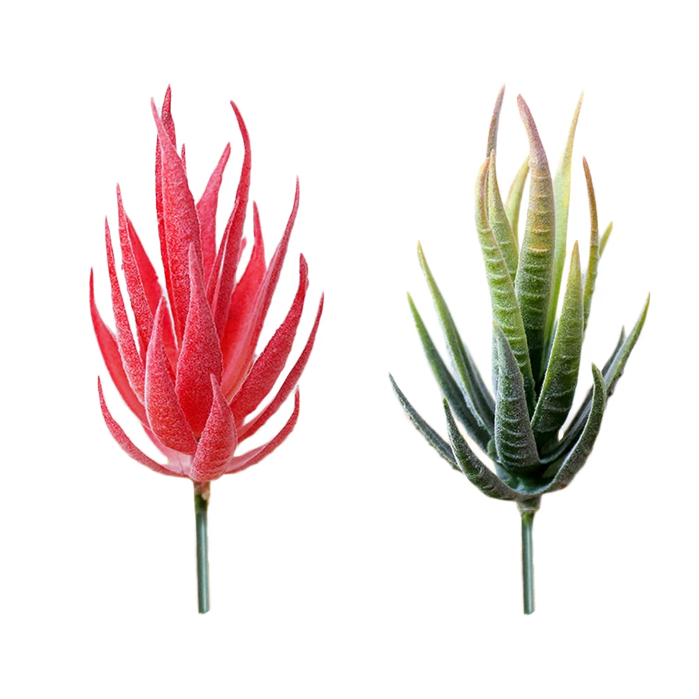 4 Pcs Artificial Aloe Plants Decor Lifelike Home Wedding Party Ornament Simulation Faux Green Shelves Counter Space Photography
4 Pcs Artificial Aloe Plants Decor Lifelike Home Wedding Party Ornament Simulation Faux Green Shelves Counter Space Photography