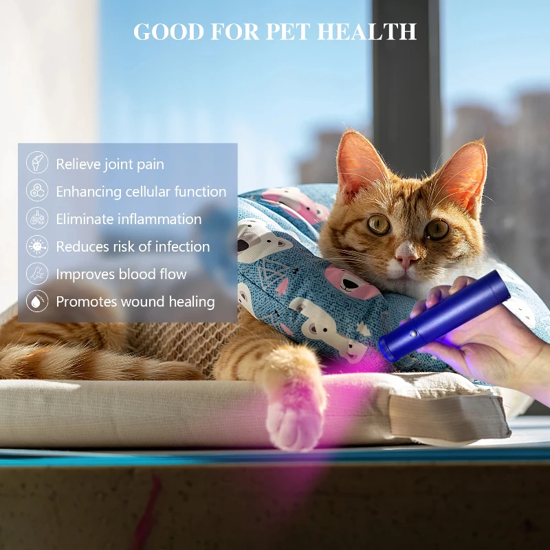 2025 NEW Body Pain Laser Therapy Device Low Level Laser Red Light Therapy Device Cold Laser Arthritis Physical Therapy Equipment
2025 NEW Body Pain Laser Therapy Device Low Level Laser Red Light Therapy Device Cold Laser Arthritis Physical Therapy Equipment