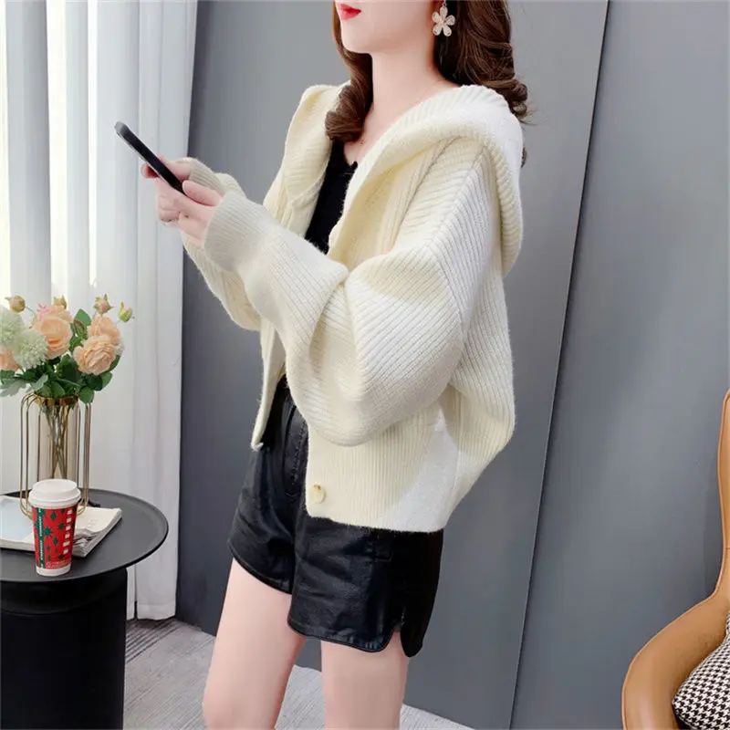 2024 Autumn Women New Korean Loose Sweater Coats Female Short Hooded Knit Jackets Ladies Solid Color Cardigan Overcoats Z412
2024 Autumn Women New Korean Loose Sweater Coats Female Short Hooded Knit Jackets Ladies Solid Color Cardigan Overcoats Z412