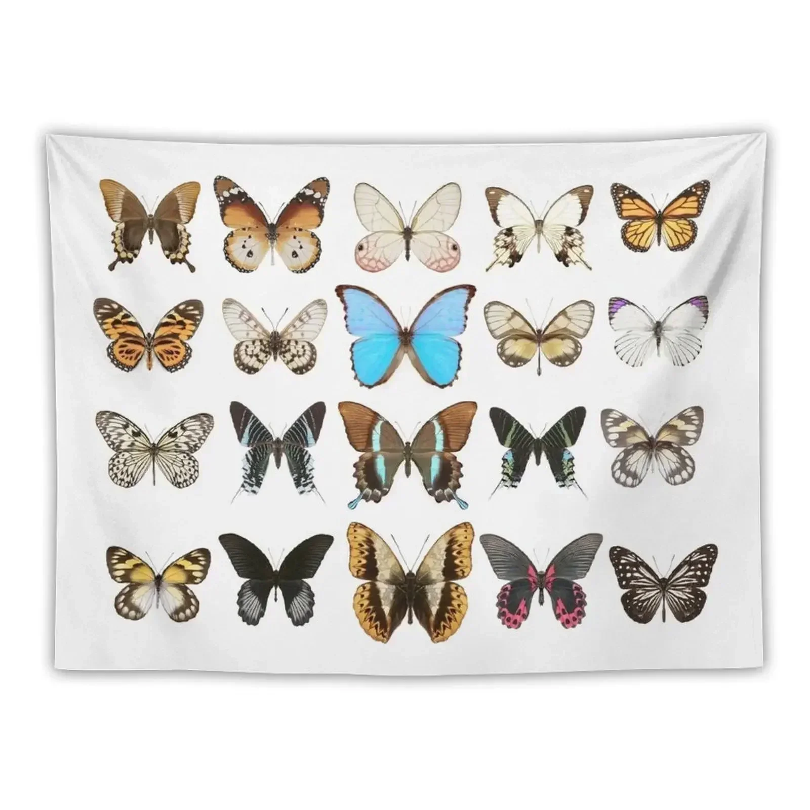 Colourful Butterfly Collection Tapestry For Bedroom Bedroom Organization And Decoration Wall Hanging Wall Tapestry
Colourful Butterfly Collection Tapestry For Bedroom Bedroom Organization And Decoration Wall Hanging Wall Tapestry