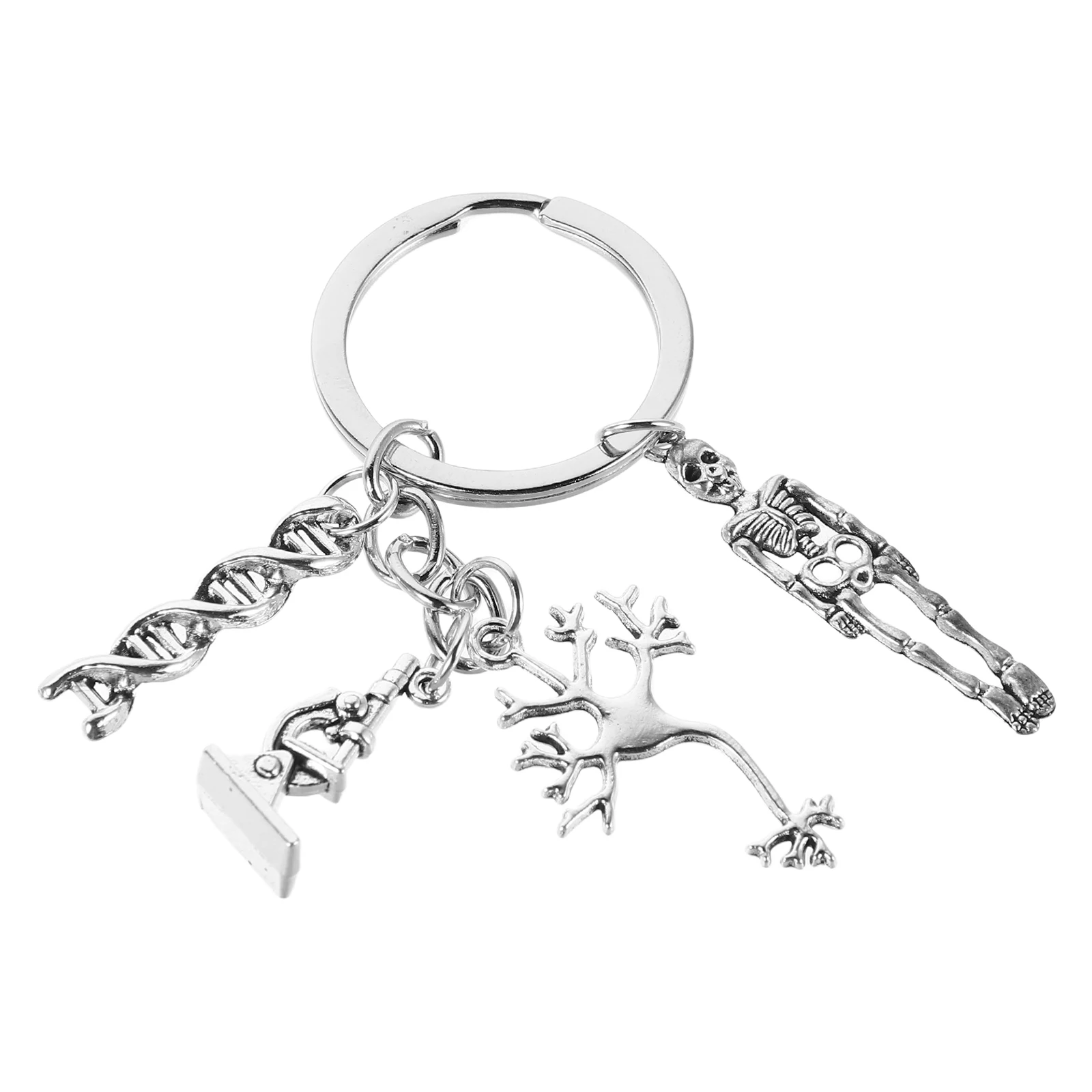 Biology Keychain DNA Microscope Science Teacher Appreciation Present Student Graduation Metal Charm Decor 
Biology Keychain DNA Microscope Science Teacher Appreciation Present Student Graduation Metal Charm Decor
