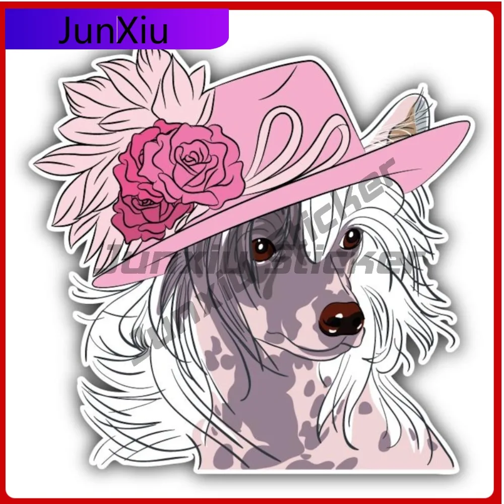 Hipster Chinese Crested Dog Car Vinyl Sticker Decal Suitcase Laptop Rv Camper Windows Waterproof Car Window Decals For Camper
Hipster Chinese Crested Dog Car Vinyl Sticker Decal Suitcase Laptop Rv Camper Windows Waterproof Car Window Decals For Camper