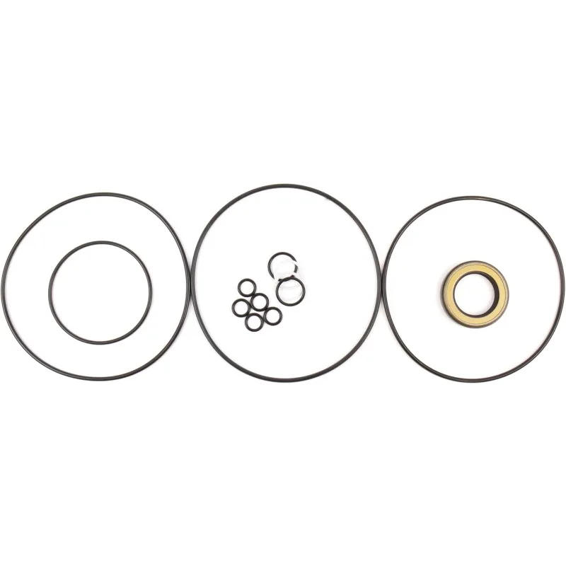 MUGURO Hydraulic Motor Seal Kit for Case CX130 LJ00721
MUGURO Hydraulic Motor Seal Kit for Case CX130 LJ00721