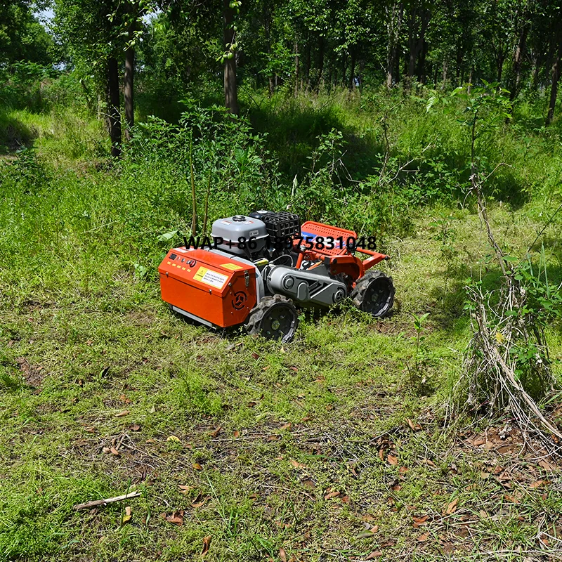 Commercial Grade 500mm Self Propelled 500mm Petrol Remote Control Lawn Mower for Large Area Overgrown Grass Cutting
Commercial Grade 500mm Self Propelled 500mm Petrol Remote Control Lawn Mower for Large Area Overgrown Grass Cutting