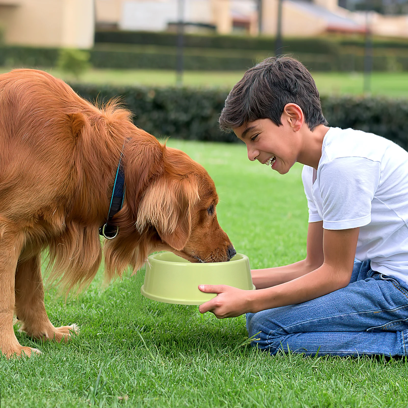 3Pcs Plastic Dog Bowl Medium Round Vibrant Color Pet Feeding Bowl Wear Resistant Non Toxic Easy Clean Dish for Cats Dogs Animals
3Pcs Plastic Dog Bowl Medium Round Vibrant Color Pet Feeding Bowl Wear Resistant Non Toxic Easy Clean Dish for Cats Dogs Animals