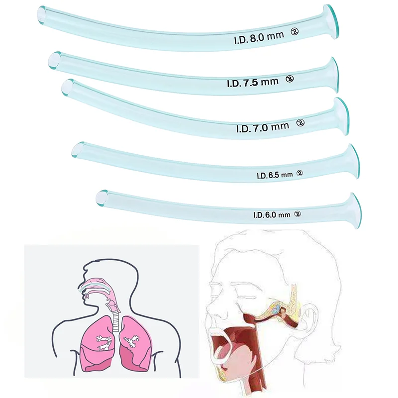 Nasopharyngeal Airway PVC Disposable Emergency Breathing Tube Multi Sizes First Aid Airway Support for Hospital Clinic Use
Nasopharyngeal Airway PVC Disposable Emergency Breathing Tube Multi Sizes First Aid Airway Support for Hospital Clinic Use
