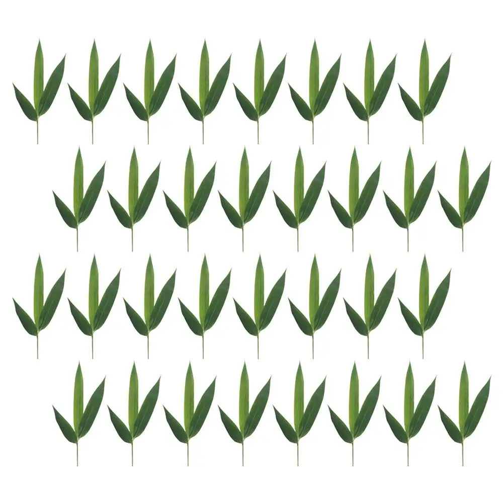 100Pcs Bamboo Leaves Decoration Sushi Plate nament Table Floral Leaf Adornment Japanese Food Mat Sashimi Decorative Kitchen
100Pcs Bamboo Leaves Decoration Sushi Plate nament Table Floral Leaf Adornment Japanese Food Mat Sashimi Decorative Kitchen