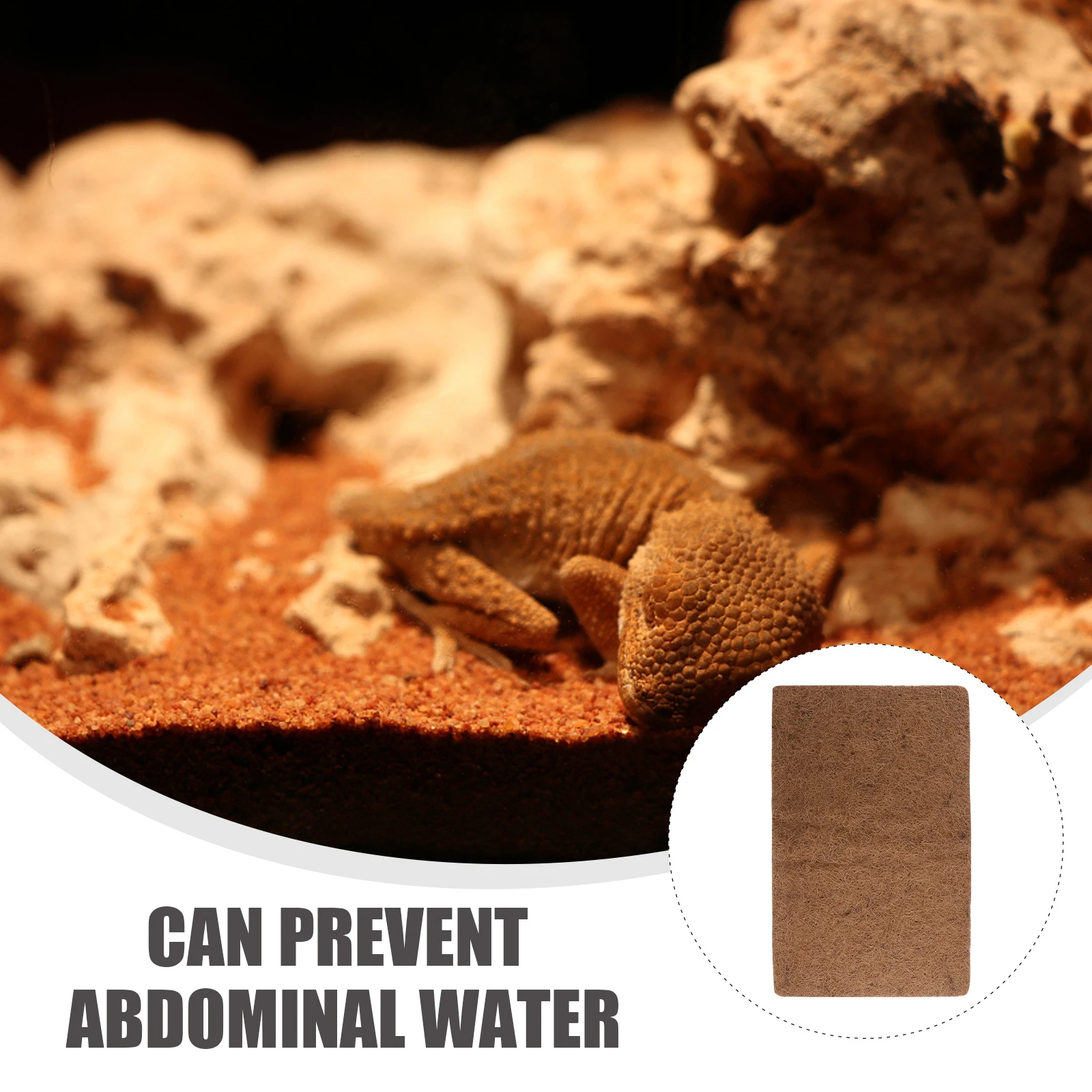 3pcs Reptile Bedding Mat Coconut Fiber Substrate Supplies Strong Filter Clean Sanitary Easy Clean Good Permeability No
3pcs Reptile Bedding Mat Coconut Fiber Substrate Supplies Strong Filter Clean Sanitary Easy Clean Good Permeability No