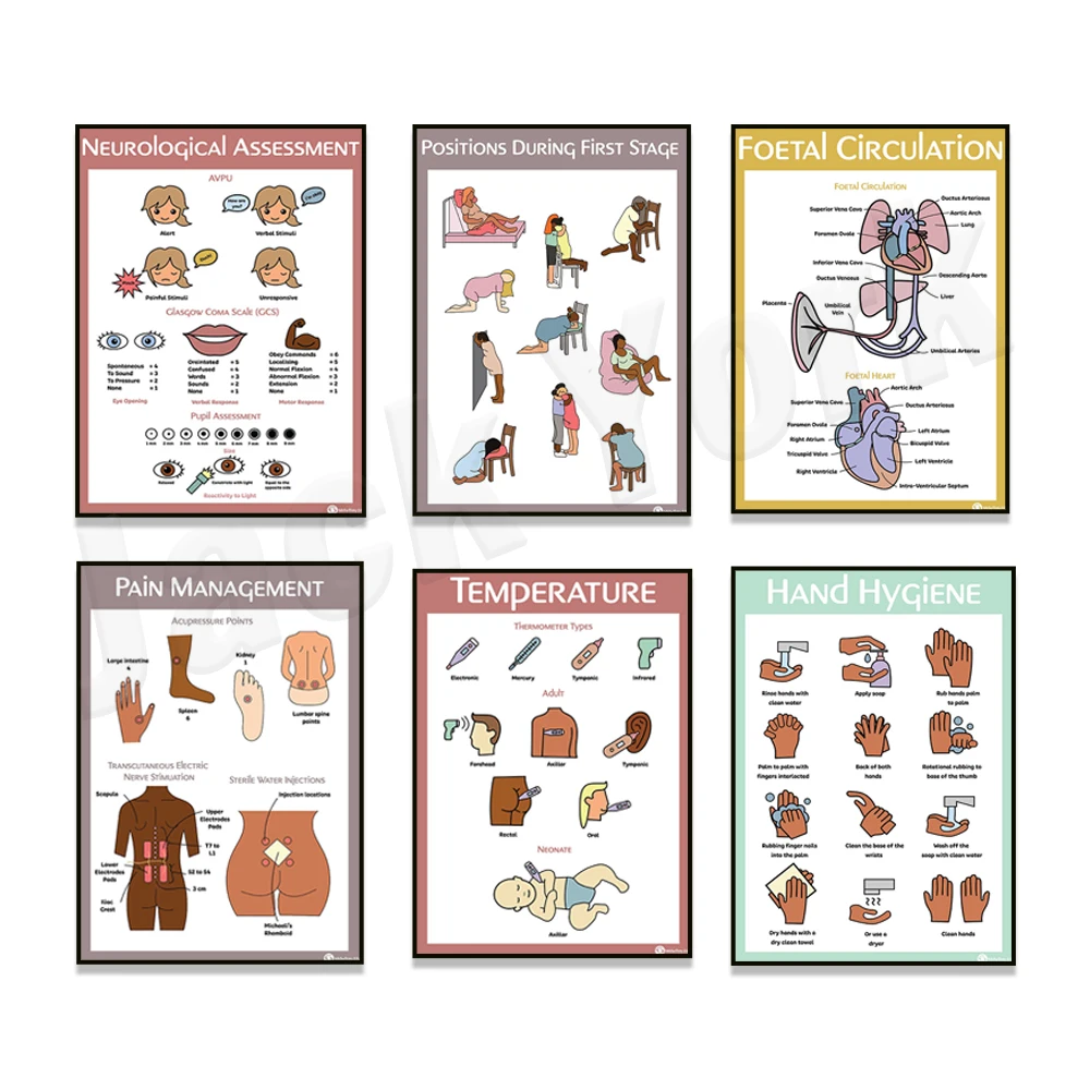 Respiration rate, fetal cycle, blood sugar level, position in first stage educational poster, temperature educational poster
Respiration rate, fetal cycle, blood sugar level, position in first stage educational poster, temperature educational poster