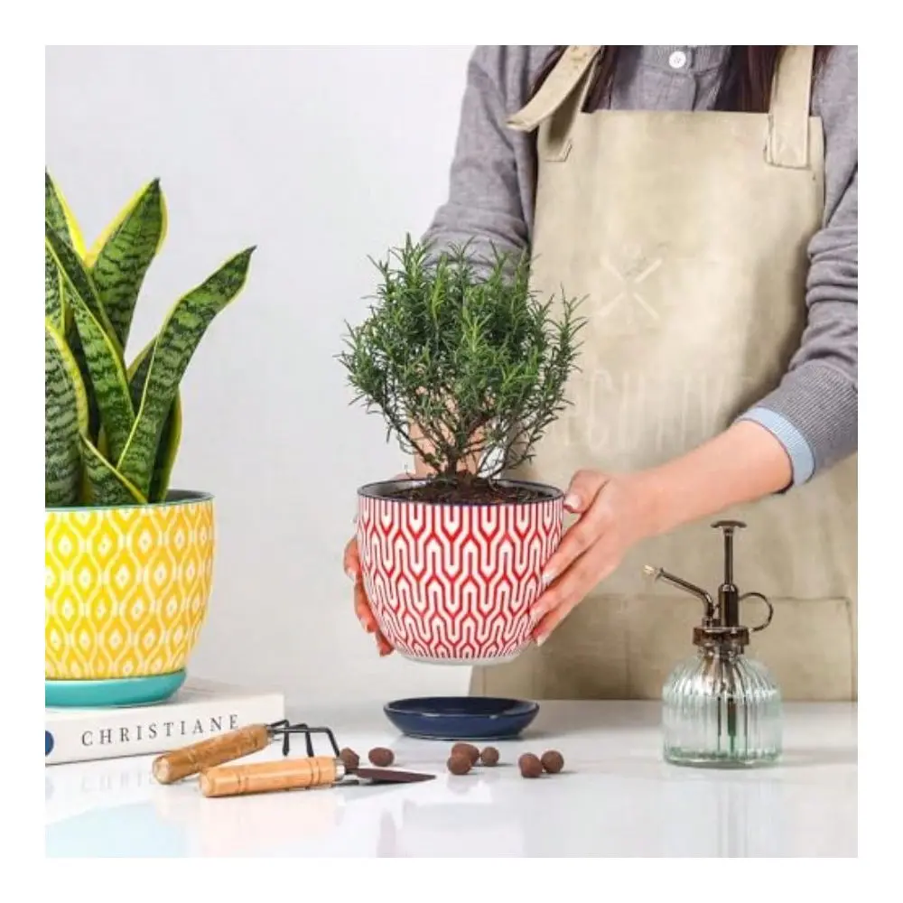 Plant Pots 4.65.66.5 Inch Planters With Drainage Holes And Saucer Flower Pots For Indoor Plants Home Decor Set Of 3 Assorted Co
Plant Pots 4.65.66.5 Inch Planters With Drainage Holes And Saucer Flower Pots For Indoor Plants Home Decor Set Of 3 Assorted Co