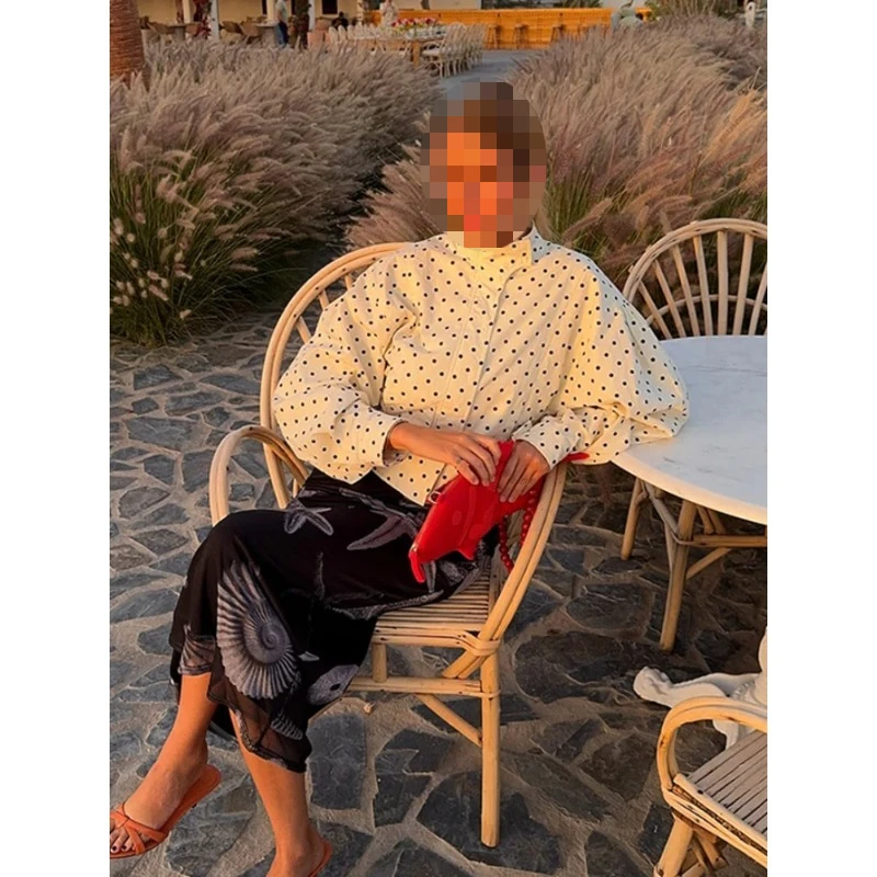 Черно-белая рубашка с воротником-стойкой и завязками, приталенный тонкий топ с длинными рукавами для весны и осени
Черно-белая рубашка с воротником-стойкой и завязками, приталенный тонкий топ с длинными рукавами для весны и осени