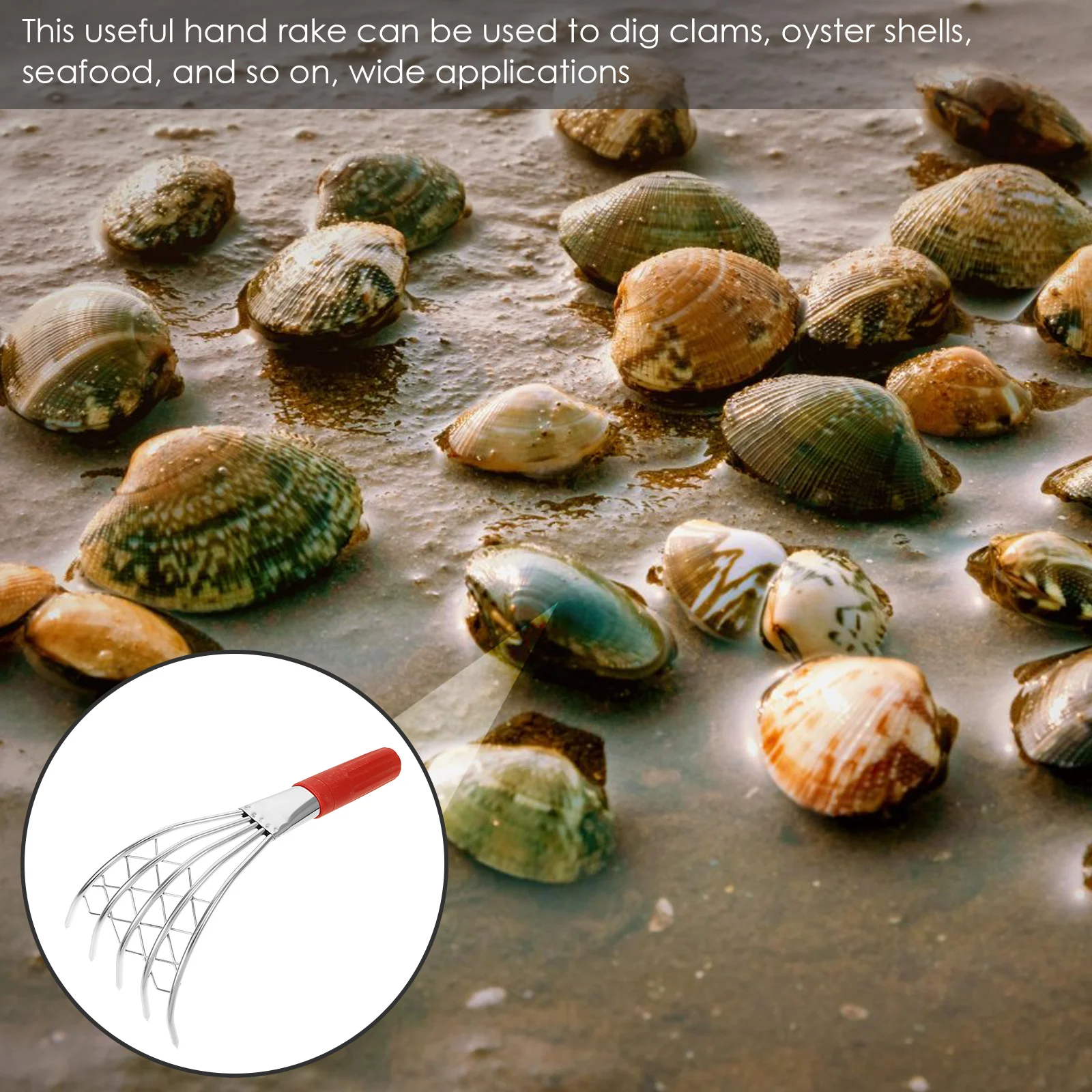 Children Shovels Stainless Steel Clam Rake Beach Supplies Digging Tool Set Kids Rake Garden Tools Crab Claw Shell Digger Non
Children Shovels Stainless Steel Clam Rake Beach Supplies Digging Tool Set Kids Rake Garden Tools Crab Claw Shell Digger Non