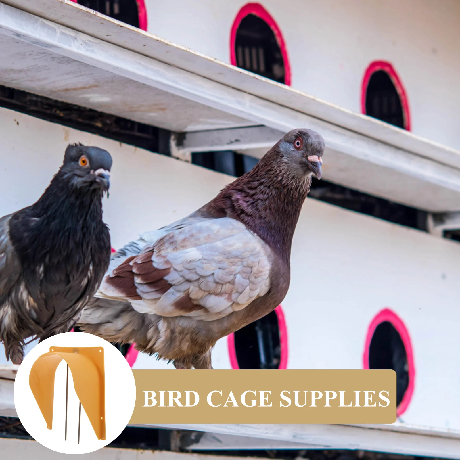 2 Pcs Pigeon Cage Door Pet Supplies Entrance House Birdcage Doors for Stainless Steel Birds Travel
2 Pcs Pigeon Cage Door Pet Supplies Entrance House Birdcage Doors for Stainless Steel Birds Travel
