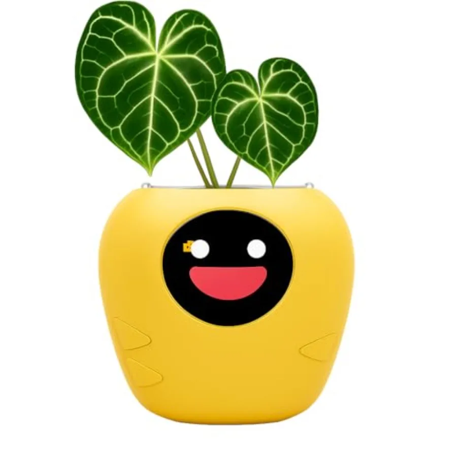 New 2026 Ai Smart Planter Extra Large Interactive Plant Pot, Pet Plantagotchi, robot, Leafypod and Plantiboy, Robot Flower Pot
New 2026 Ai Smart Planter Extra Large Interactive Plant Pot, Pet Plantagotchi, robot, Leafypod and Plantiboy, Robot Flower Pot