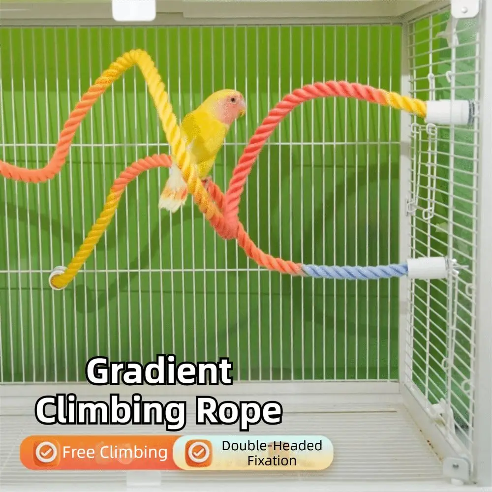 25/40/60/100cm Parrot Station Pole Free Bending Colorful Bird Climbing Rope Bite Resistant Easy Installation
25/40/60/100cm Parrot Station Pole Free Bending Colorful Bird Climbing Rope Bite Resistant Easy Installation