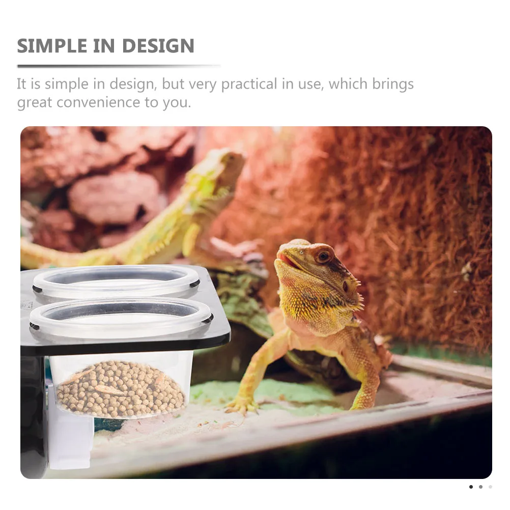 Reptile Feeder Dishes Gecko Feeding Ledge Water Tank Supplies Cage Bowls Plastic Platform Glass Easy Use Pet Supplies
Reptile Feeder Dishes Gecko Feeding Ledge Water Tank Supplies Cage Bowls Plastic Platform Glass Easy Use Pet Supplies