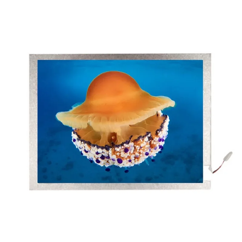 8 Inch TFT Display Horizontal Screen 1024x768 350 Brightness 40 Pin LVDS Interface Tablet Industry LCD
8 Inch TFT Display Horizontal Screen 1024x768 350 Brightness 40 Pin LVDS Interface Tablet Industry LCD