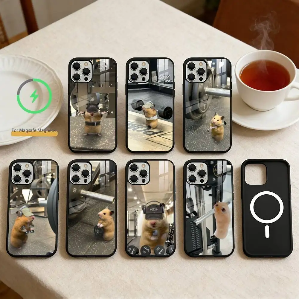 Cute Gym Hamster Phone Case For iPhone 17,16,15,14,13,Pro,Max,Plus,Magnetic For Magsafe Wireless Charging
Cute Gym Hamster Phone Case For iPhone 17,16,15,14,13,Pro,Max,Plus,Magnetic For Magsafe Wireless Charging