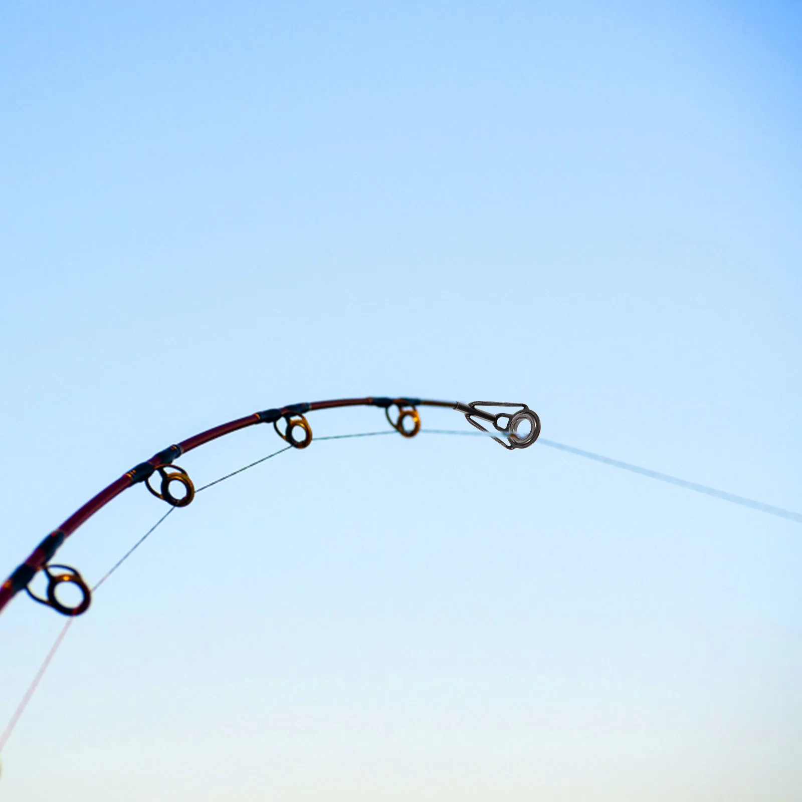 8 Pcs Fishing Accessories Top Ring Leading Eye Set Rod Repair Kit Stainless Steel Pole Tips Miss 
8 Pcs Fishing Accessories Top Ring Leading Eye Set Rod Repair Kit Stainless Steel Pole Tips Miss