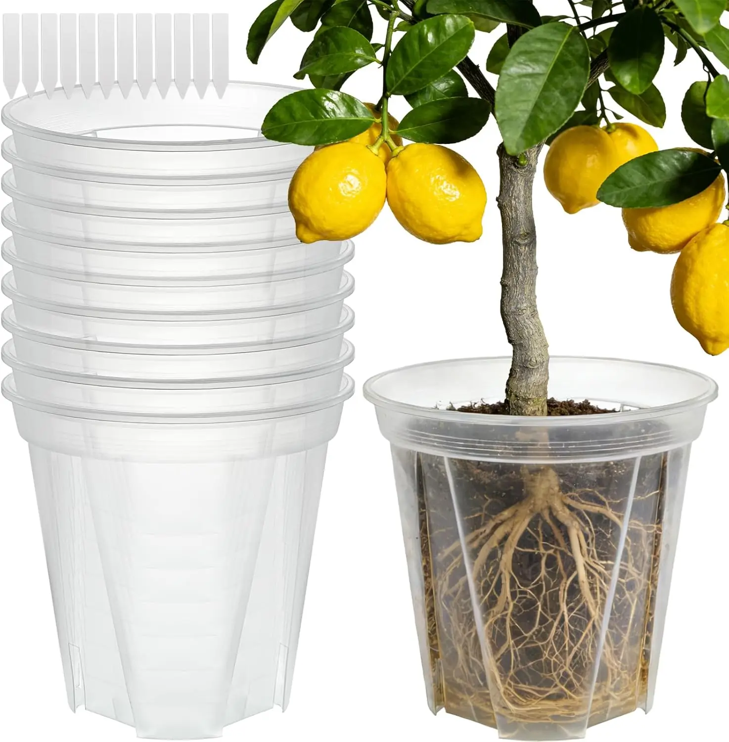 Clear Nursery Pots 11 Inch with Drainage Holes, 3.5 Gal 10 Pack Transparent Plant Pots for Orchids Seedlings Repotting Root
Clear Nursery Pots 11 Inch with Drainage Holes, 3.5 Gal 10 Pack Transparent Plant Pots for Orchids Seedlings Repotting Root