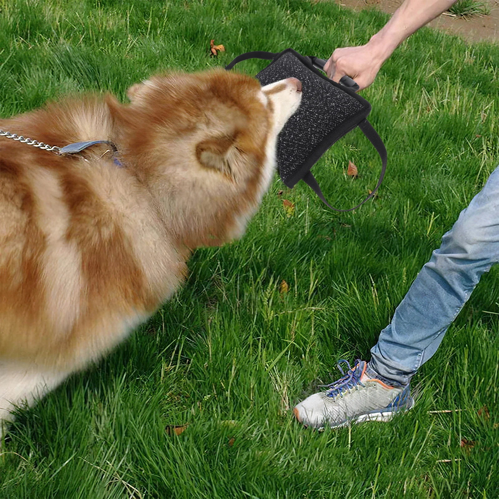 Premium Jute Bite Pillow 3 Anti-Slip Handles for Dogs Puppies Training Tug Ring Sport Pet Interactive Biting Exercises
Premium Jute Bite Pillow 3 Anti-Slip Handles for Dogs Puppies Training Tug Ring Sport Pet Interactive Biting Exercises