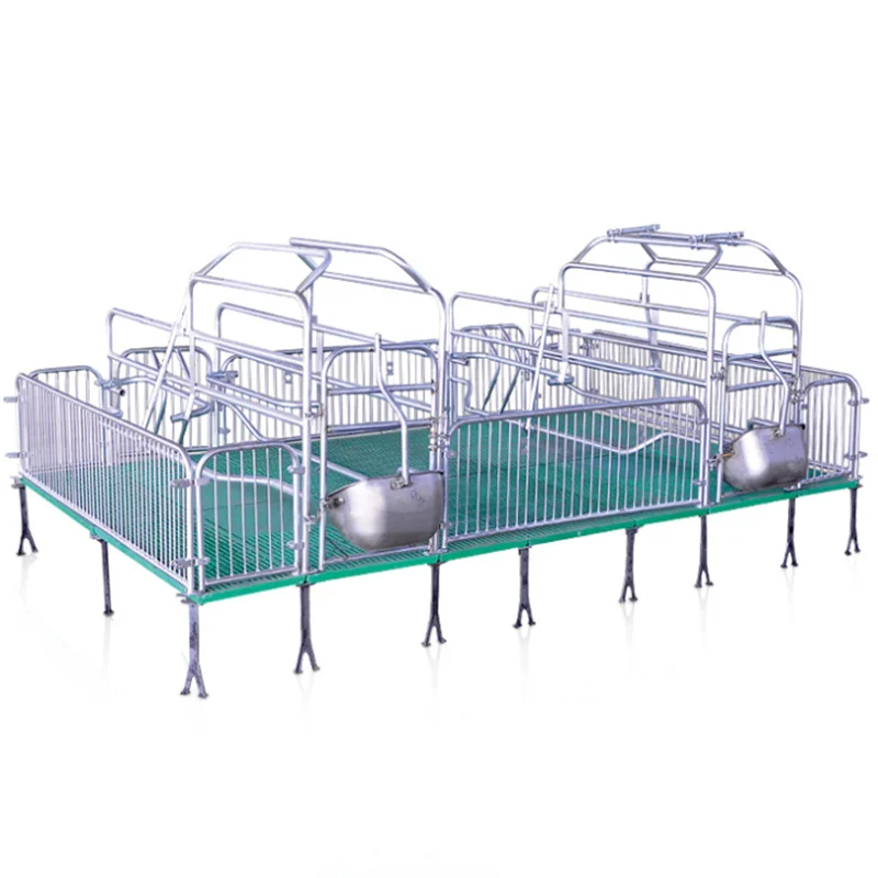 New Animal Birth Bed Farm Raising Equipment Hot Dip Galvanized Steel Pipe Pig Pen Sow Farrowing Crate Pig Obstetric Table
New Animal Birth Bed Farm Raising Equipment Hot Dip Galvanized Steel Pipe Pig Pen Sow Farrowing Crate Pig Obstetric Table
