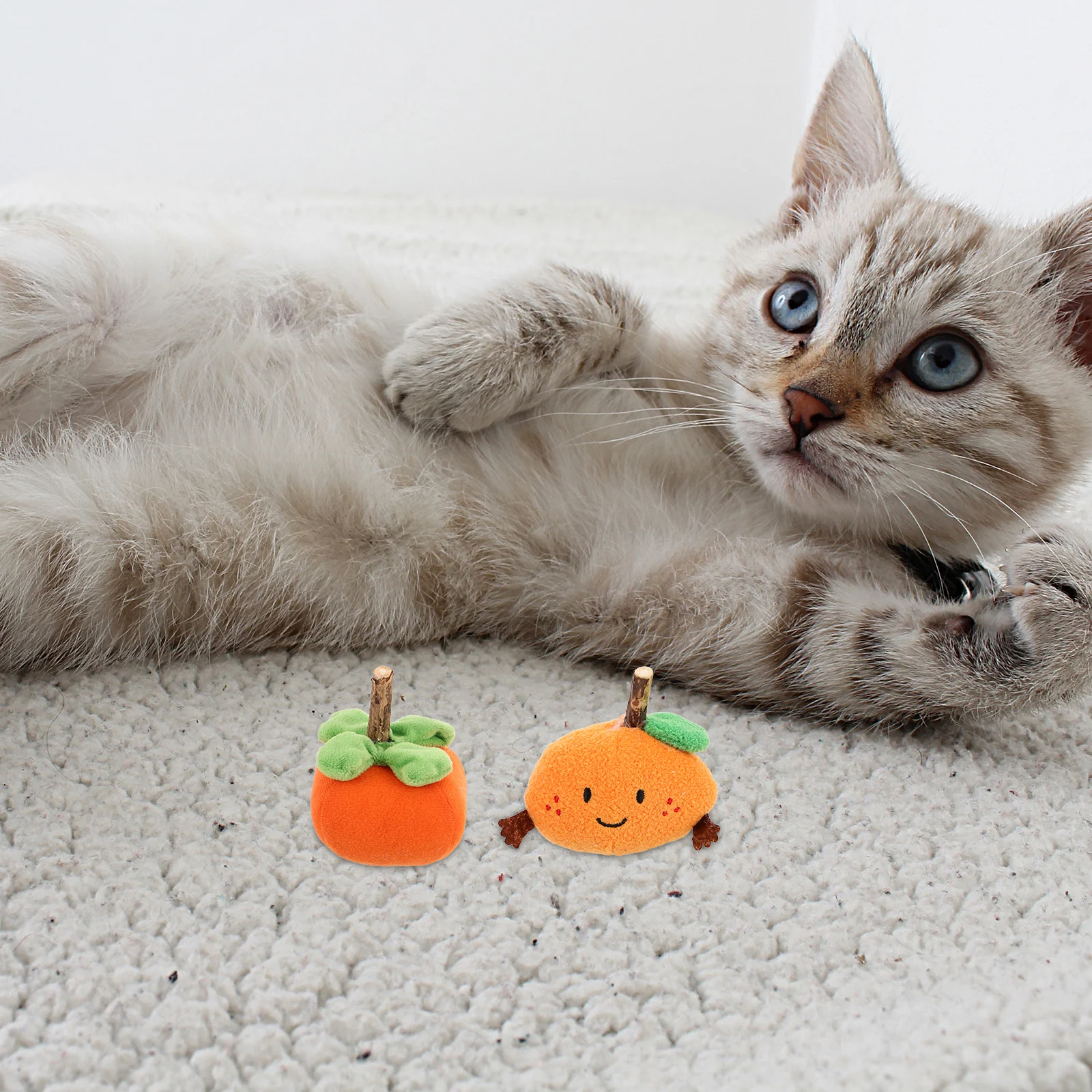 2Pcs Cat Toys Fruit Shaped Teasing Sticks Chewable Design for Teething Relief and Active Play Indoor Outdoor Cats
2Pcs Cat Toys Fruit Shaped Teasing Sticks Chewable Design for Teething Relief and Active Play Indoor Outdoor Cats